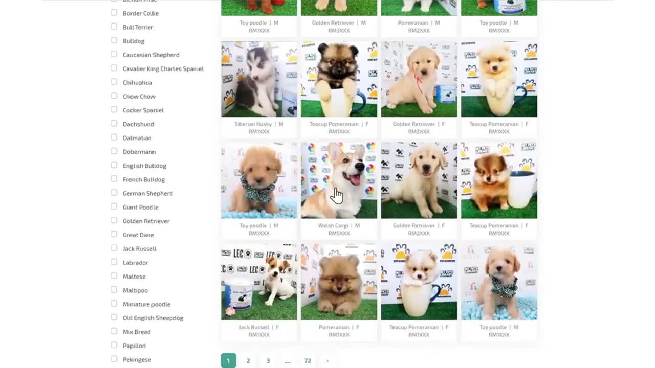 1st Online Pet Store Platform in Malaysia | Mypetslibrary