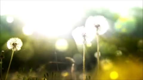 Jacobson Muskelentspannung 1