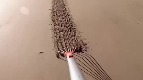 Extreme sport
