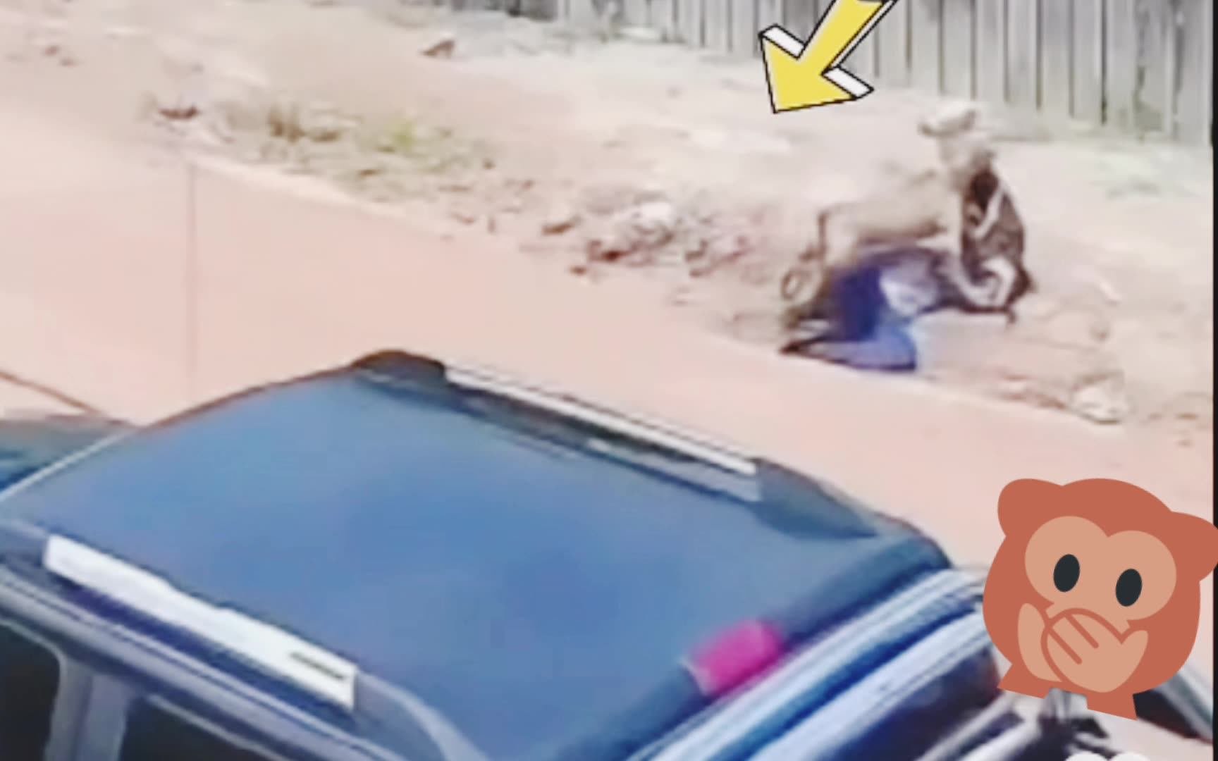 An hungry dog is angry indeed