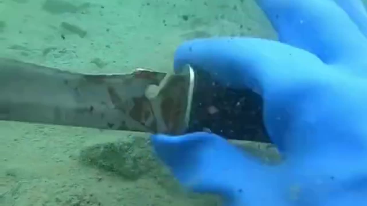 Scuba Diver founds knife During Diving in Ocean