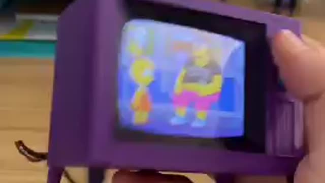 World Smallest Working Television