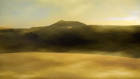 Golden desert