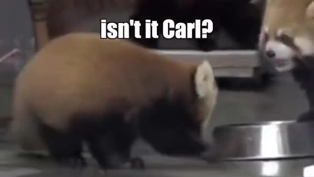 I’m sorry to do this to you
