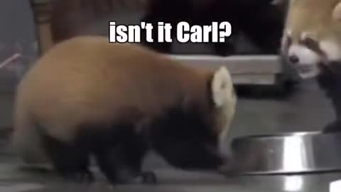I’m sorry to do this to you