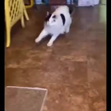 let's laugh not to cry 7