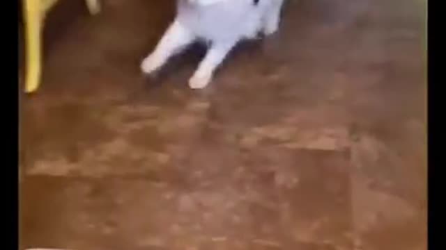 let's laugh not to cry 7