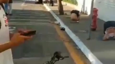 Side Effect Of K9 Drug