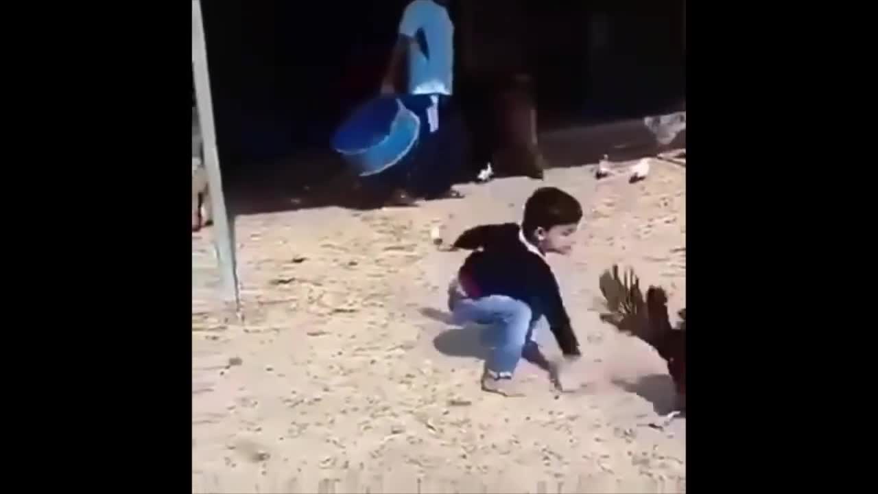 Dramatic Fight Between Rooster and Child