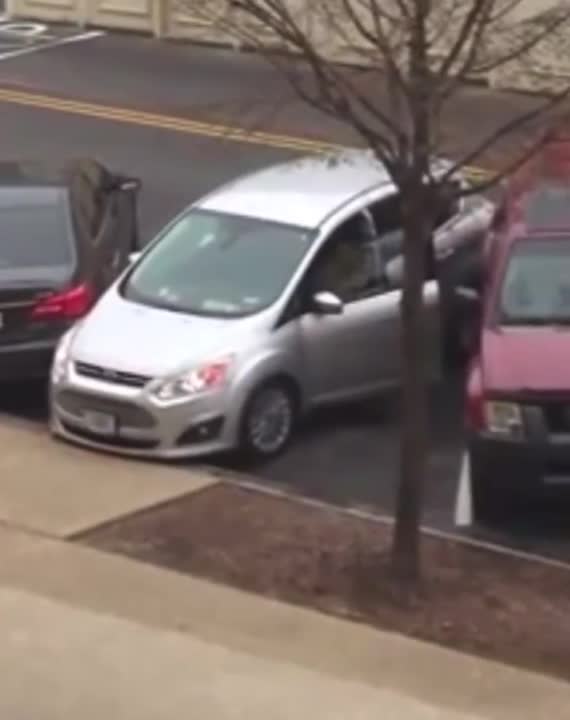 Pelosi's Transportation Committee Chairwoman Pick Tries Parking A Car With Mixed Results