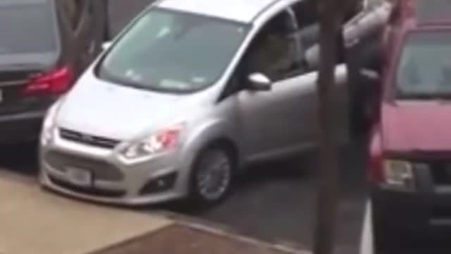 Pelosi's Transportation Committee Chairwoman Pick Tries Parking A Car With Mixed Results