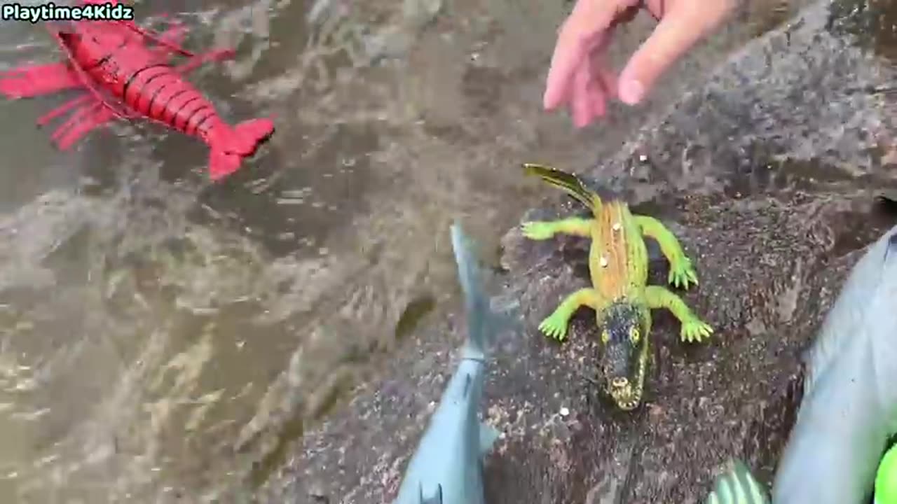 Sea Animal Toys This Summer at the Shore