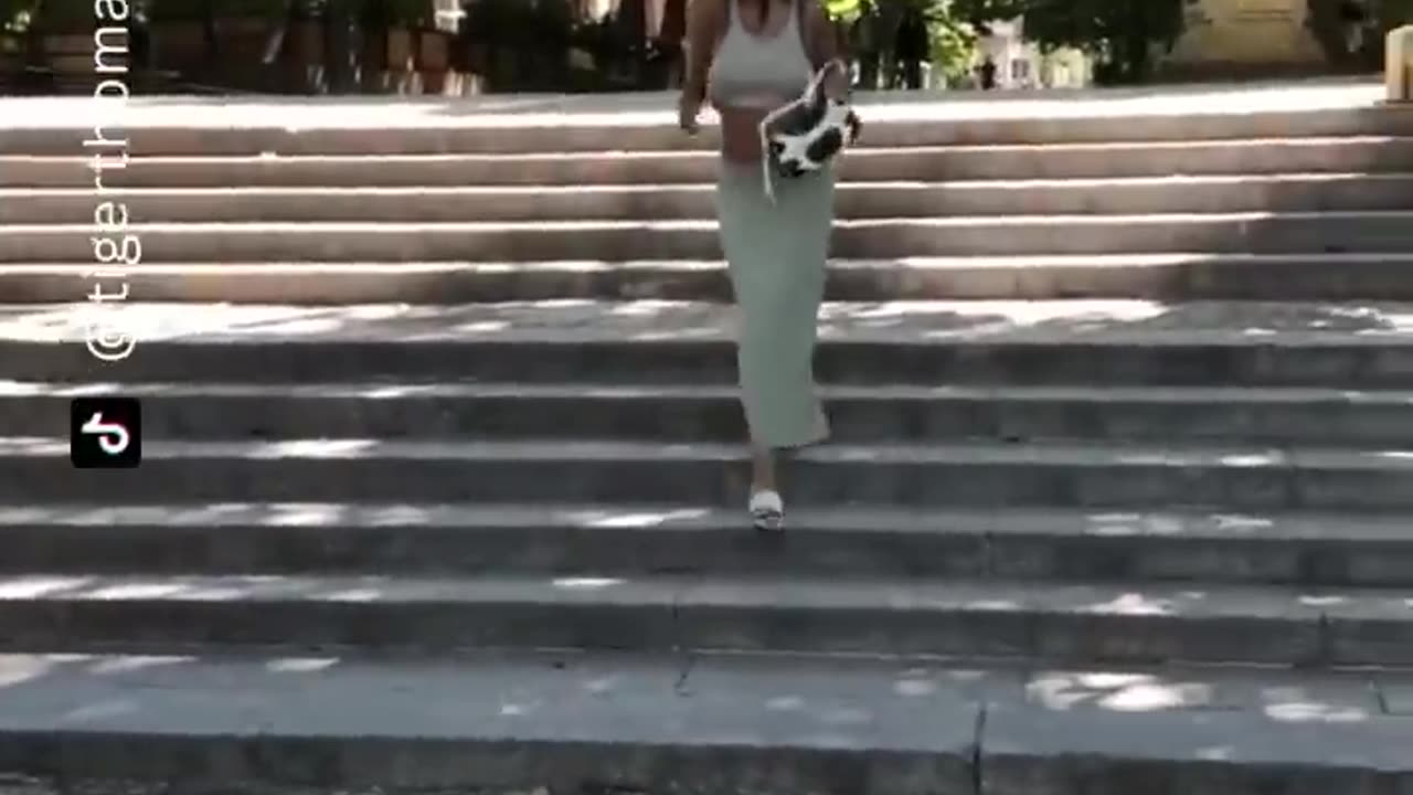 funny video