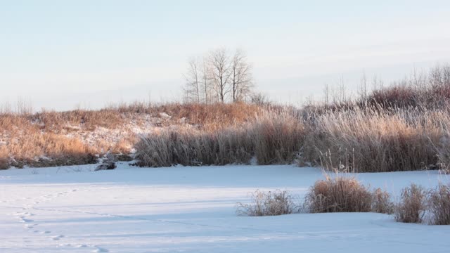 Winter Mountains and Wetlands