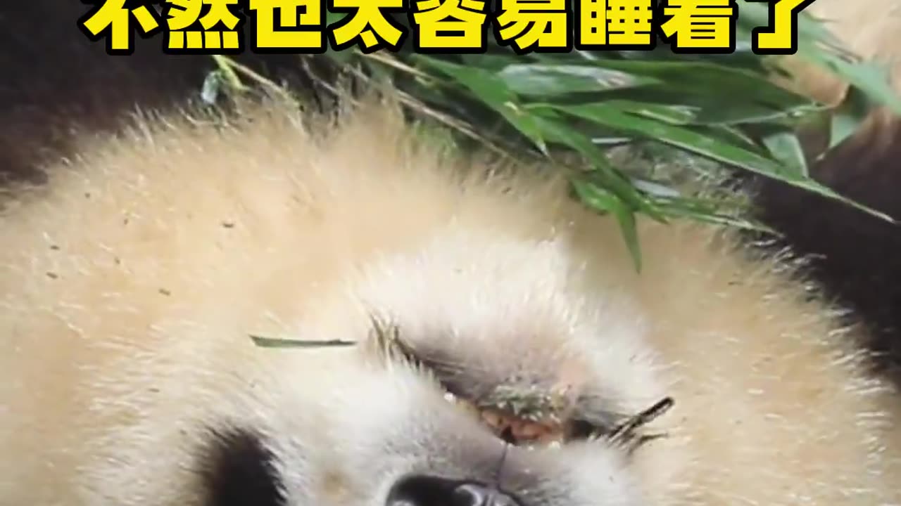 Don't eat lying down, or you will fall asleep too easily