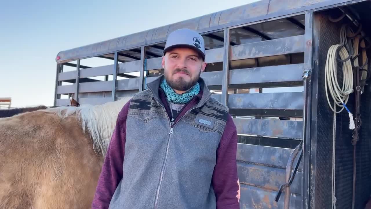 Gathering Feral Horses On the Navajo Nation!