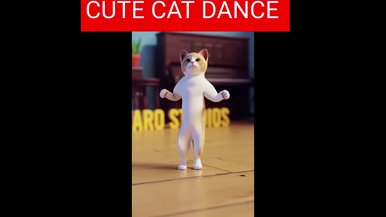 Cute cat 😺 dance moments 🤣