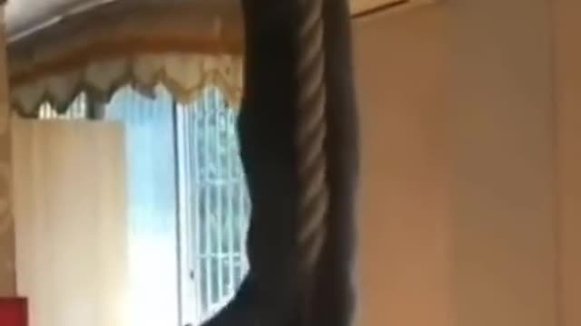 morning work-out
