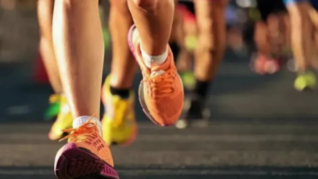 Run, run and get bonuses!