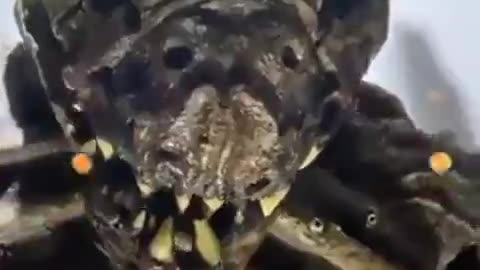 A Reptillian Shapeshifter on Display at a Museum