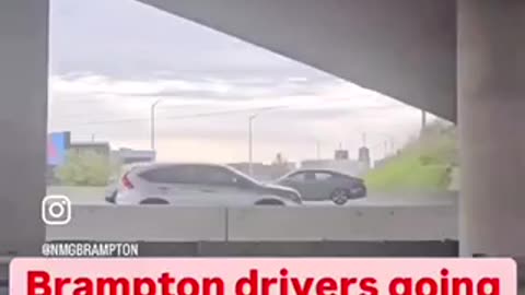 Only immigrants in Brampton drive the wrong way on the hwy