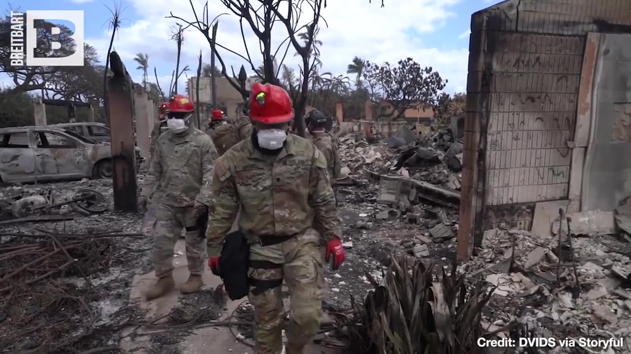 Search Efforts Continue in Scorched Ruins of Lahaina, Hawaii