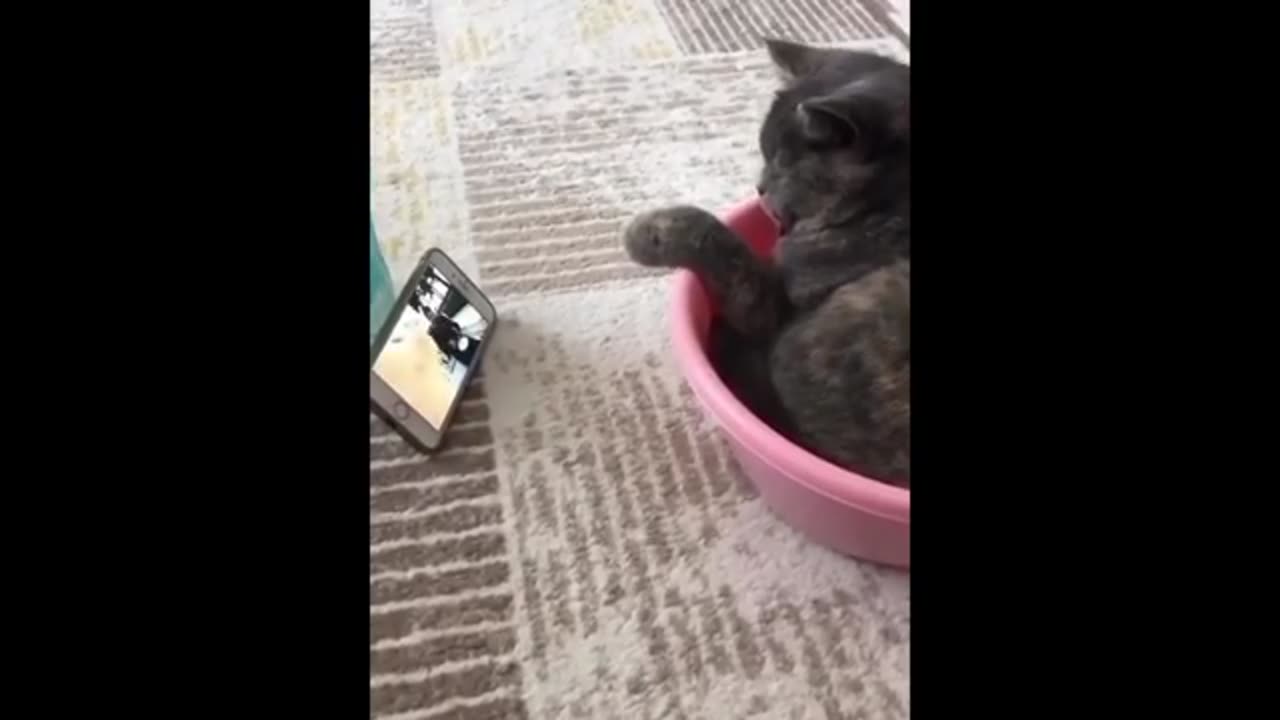 https://youtu.be/7FSsUQ0XyvI
