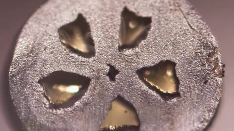 Solder Wire Cut #asmr #macro #satisfying #slowmotion #amazing #closeup