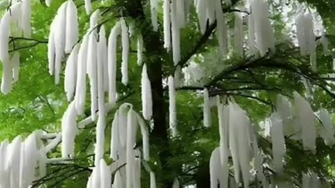 Let Nature do its job