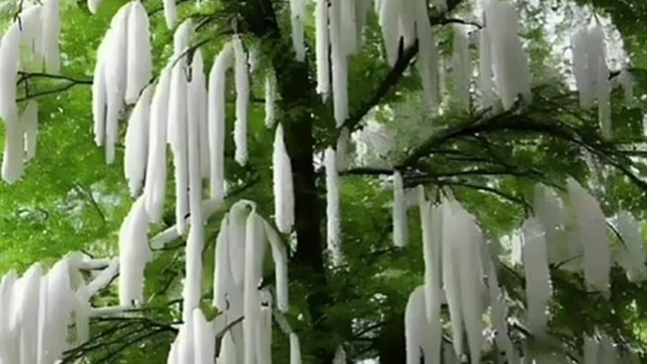 Let Nature do its job