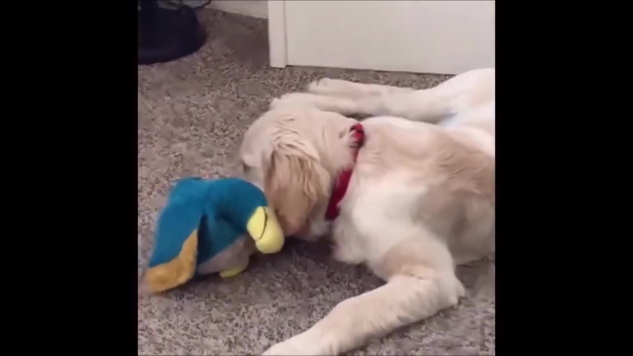 Episode 4 - Cannot stop laughing