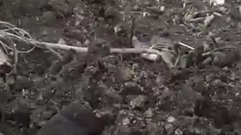 Russians Turned into Fertilizer