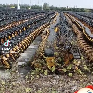 elektro Roller mass grave