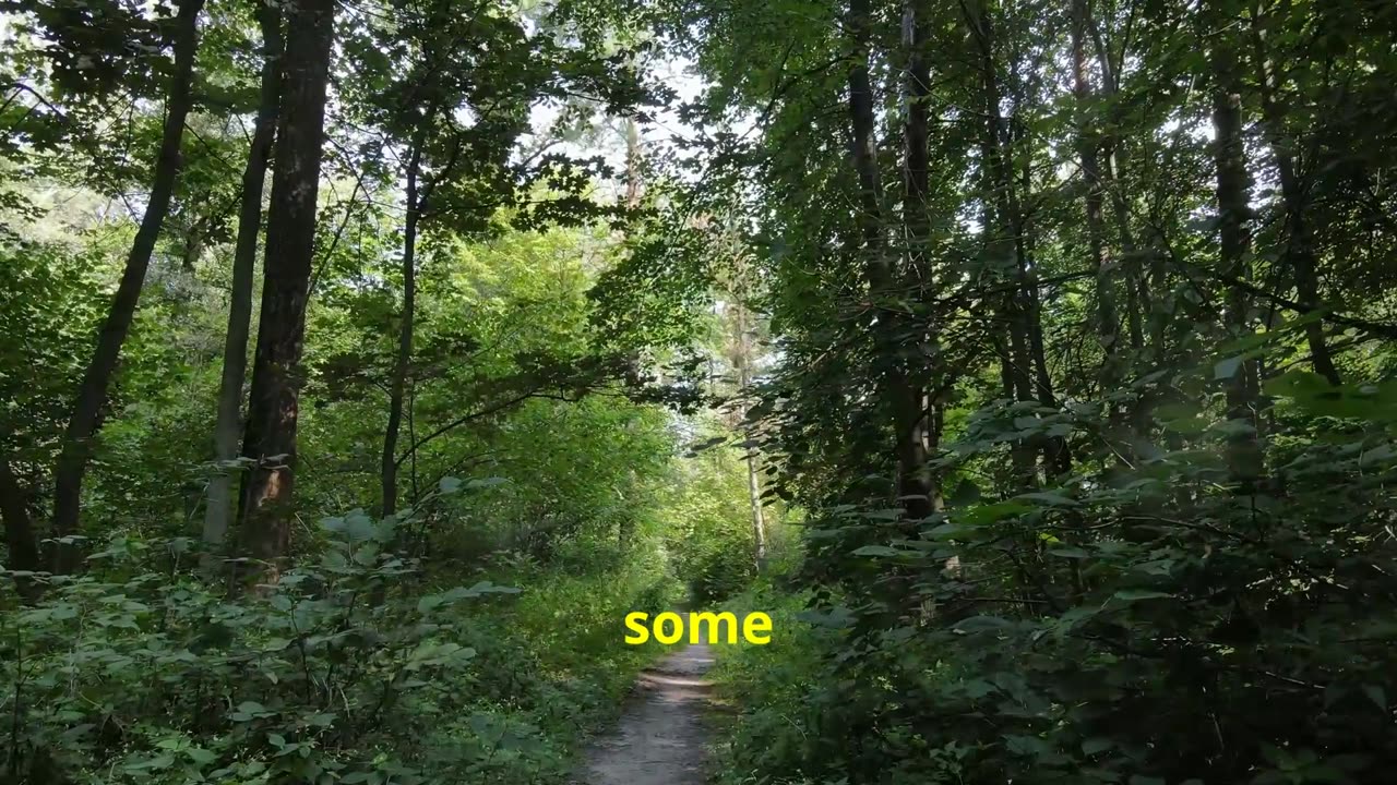 Top 10 things to do in Canada