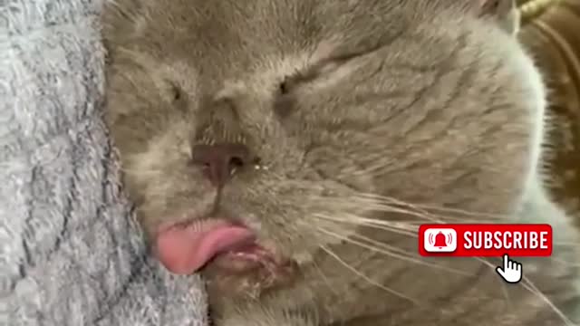 The Funniest Internet Videos Of The Month: A Compilation.