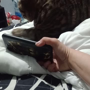 HEAVY METAL TESLA PART 3 🤘😻