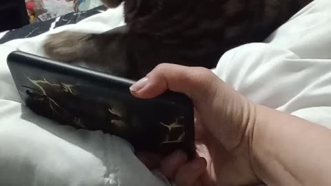 HEAVY METAL TESLA PART 3 🤘😻