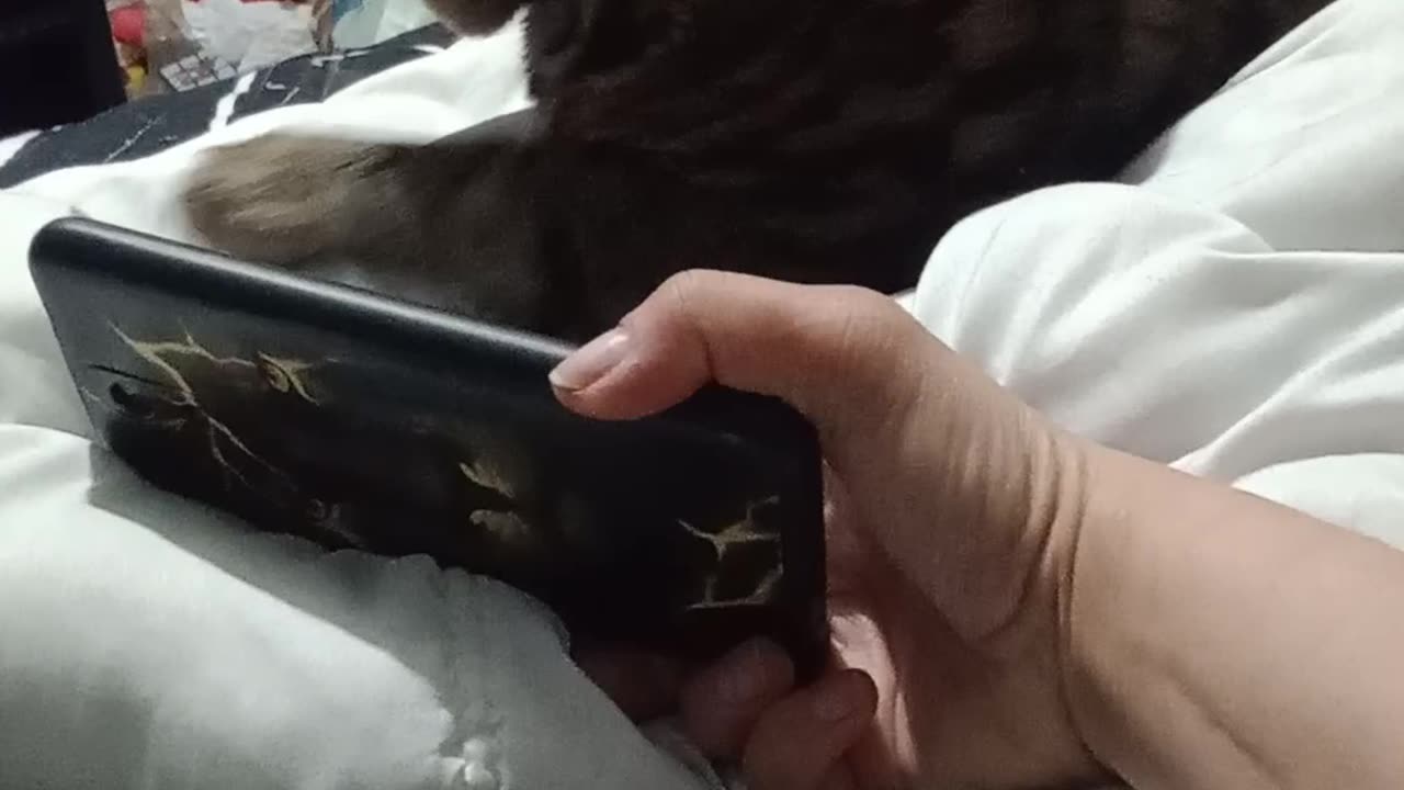 HEAVY METAL TESLA PART 3 🤘😻