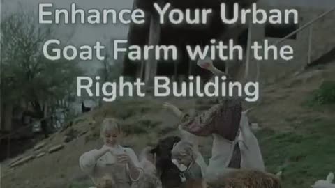 Optimizing Urban Goat Farming Building Essentials.