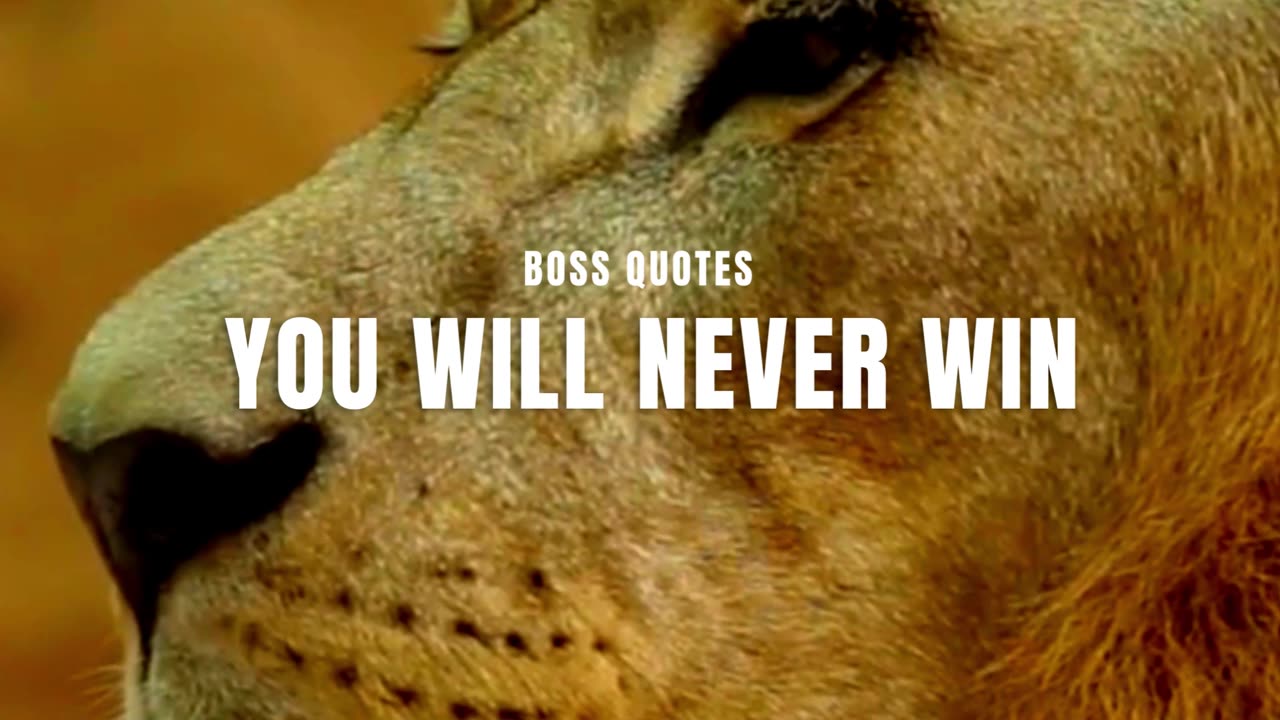 You will Never Win, If you Never Begin - Motivational Video