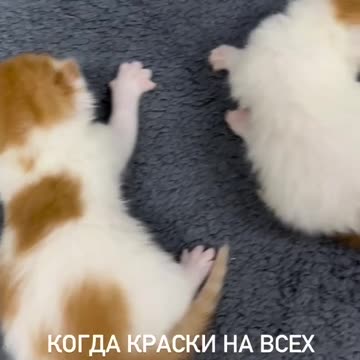 5 tries to get that stubborn stain out 🤣