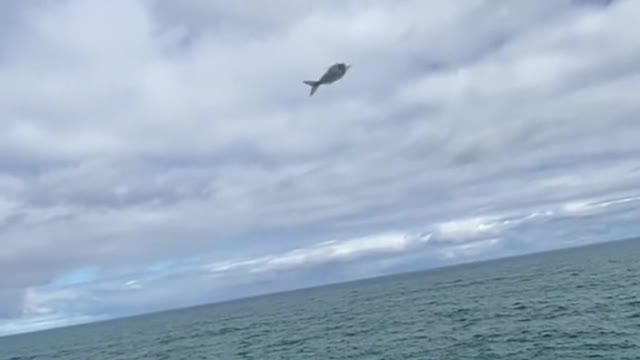 I gave this fish the experience of a lifetime