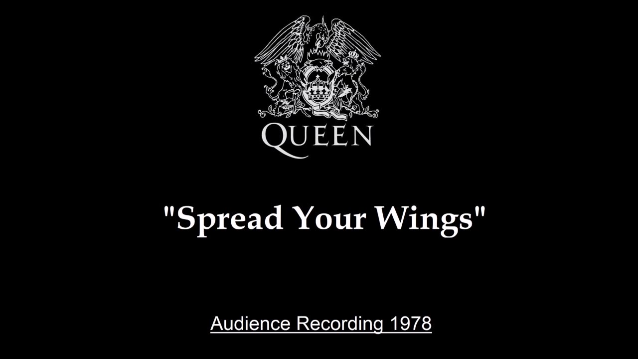 Queen - Spread Your Wings (Live in Chicago, Illinois 1978) Audience