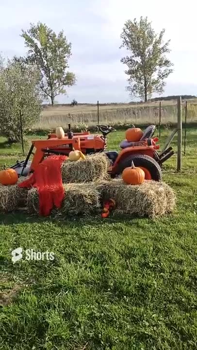 Family Photo time @simple acre homestead