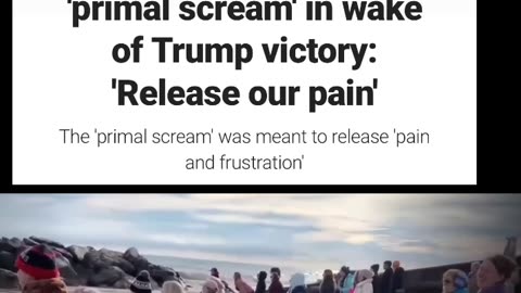 TDS: Liberal Women scream at the Sea