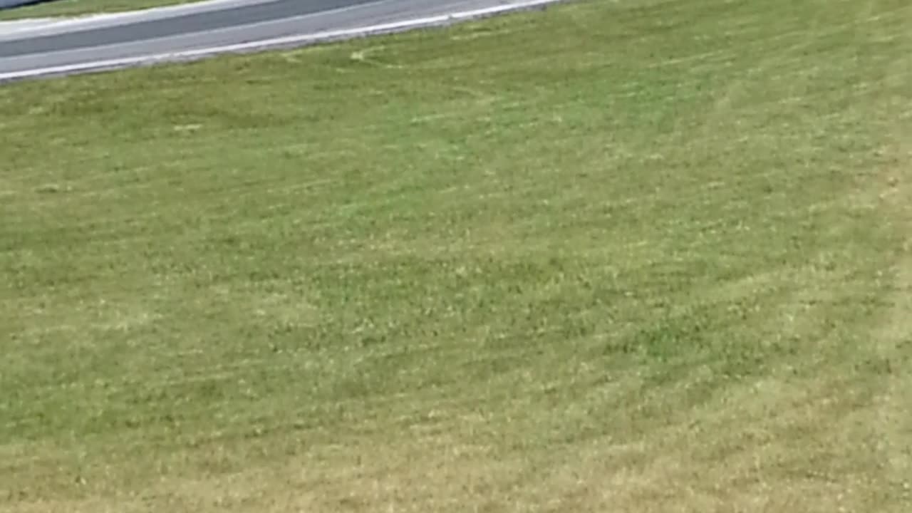 Who likes race cars? I do.