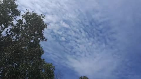 Himmel in Berlin am 13.06.2023 um 11:54 Uhr