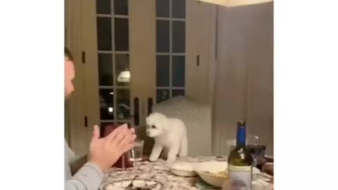 cute family with cute puppy !!