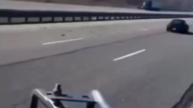 Semi driver kills turkey on inerstate.