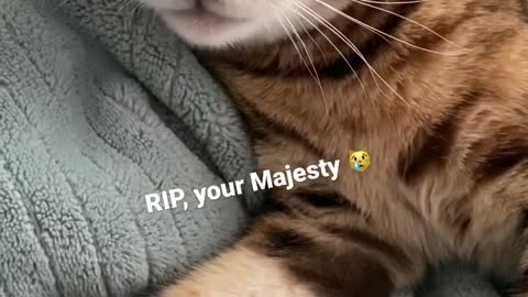 RIP Queen Elizabeth